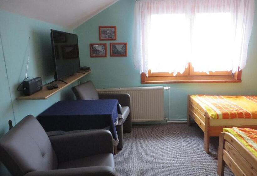 غرفة قياسية, Pension Stepponat