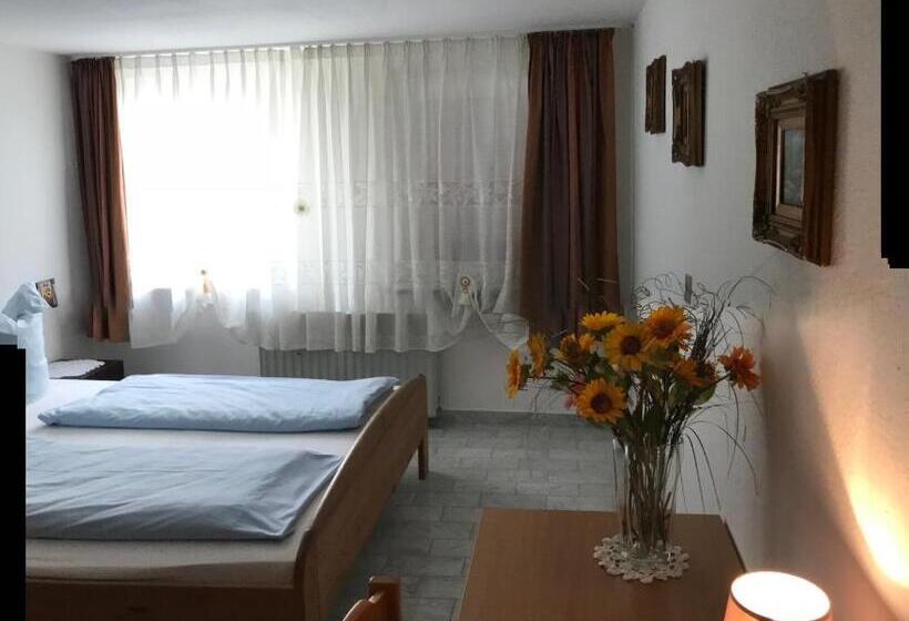 Апартаменты 1 Спальня, Stadt Apartment