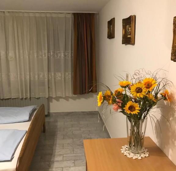 Апартаменты 1 Спальня, Stadt Apartment