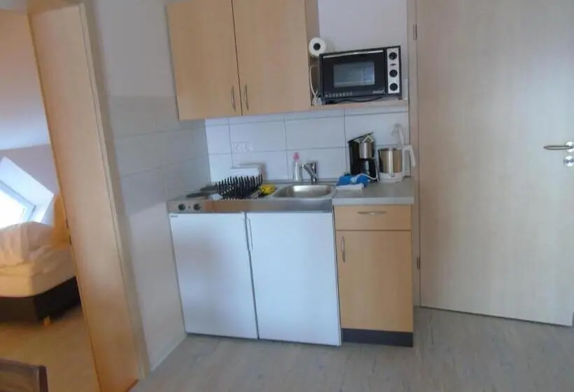 スタンダードスタジオ, Wein  Appartements Borth