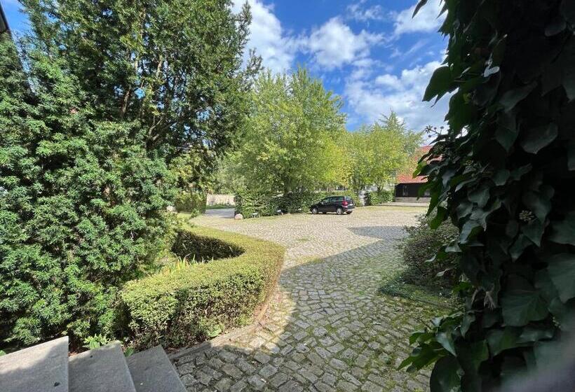 إستوديو ديلوكس, Engels Hof