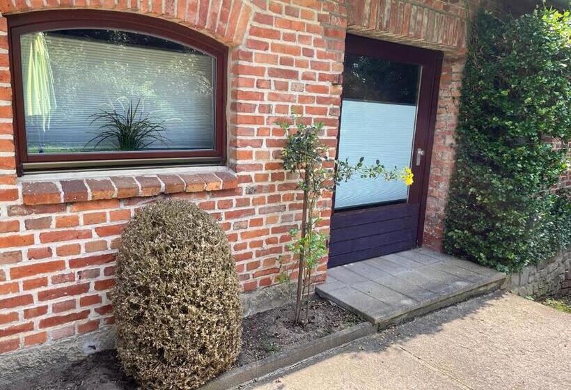 شقة غرفة واحدة مطلة على الحديقة, Engels Hof