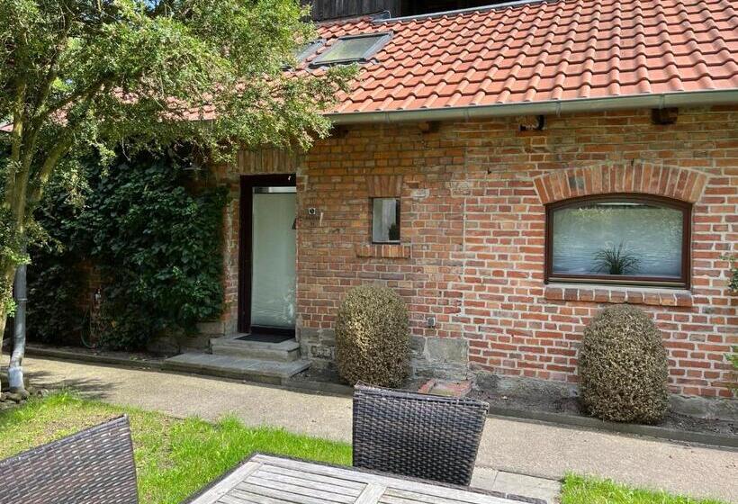 شقة غرفة واحدة مطلة على الحديقة, Engels Hof