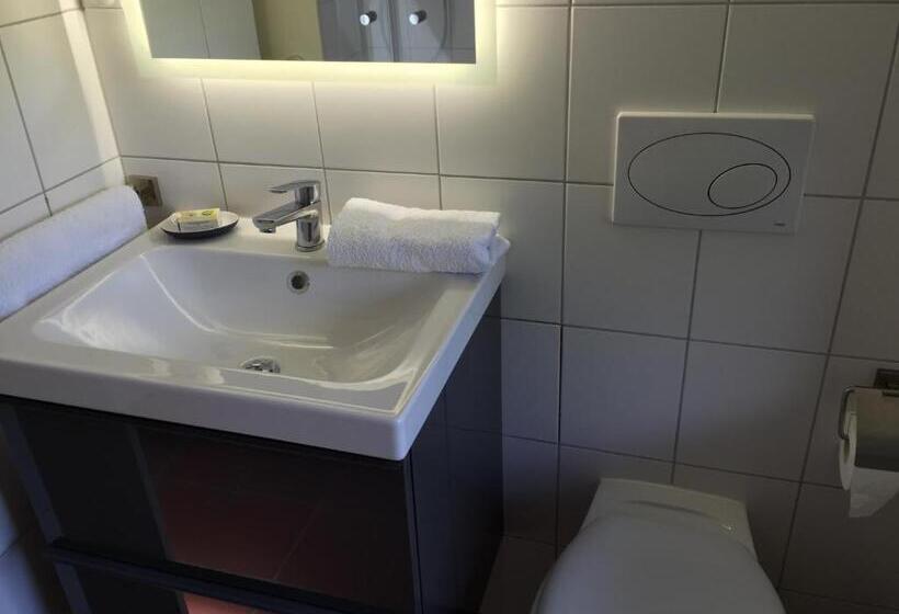 شقة غرفة واحدة مطلة على الحديقة, Engels Hof