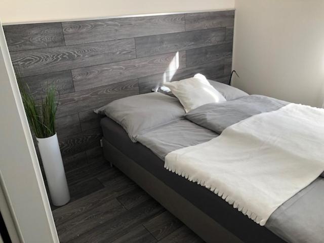 شقة ديلوكس غرفتين نوم, Engels Hof