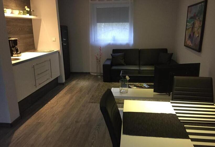 شقة غرفة واحدة, Engels Hof