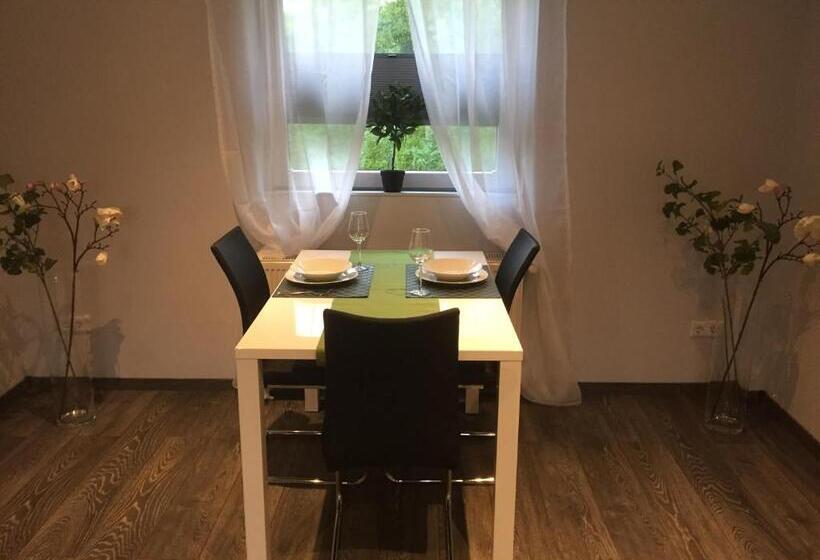 إستوديو قياسى, Engels Hof