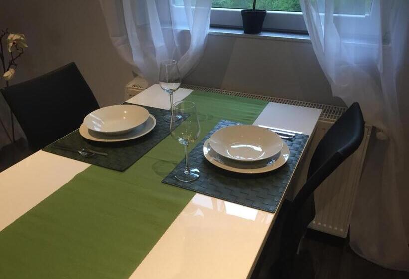 إستوديو قياسى, Engels Hof