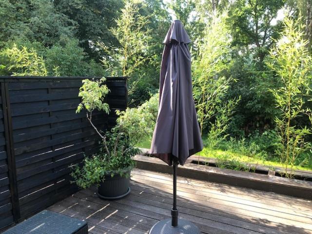 إستوديو قياسى مزودة بتراس, Engels Hof