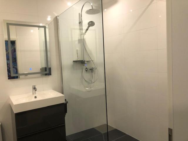 إستوديو قياسى مزودة بتراس, Engels Hof