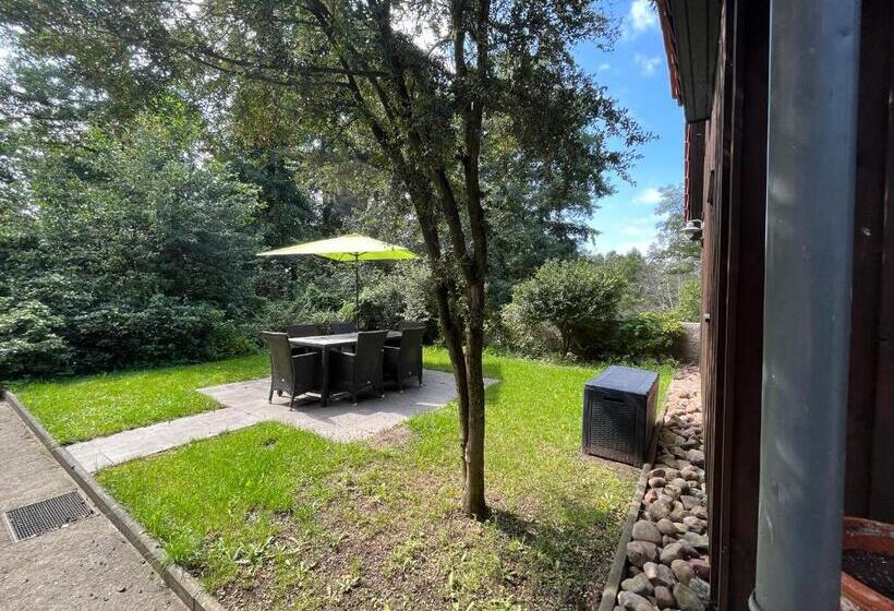 إستوديو ديلوكس, Engels Hof