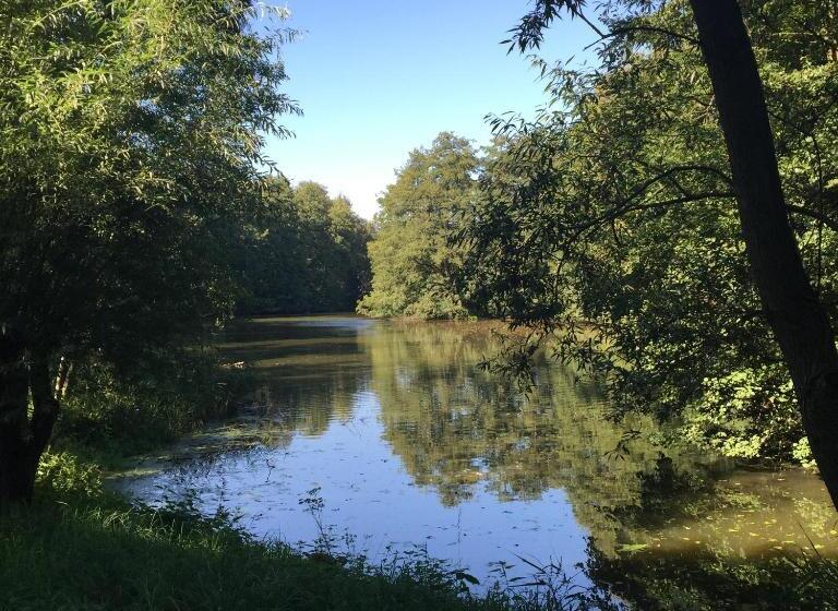 جناح, Engels Hof