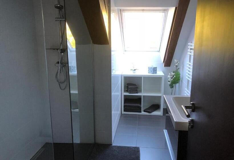 شقة سوبريور غرفة واحدة, Engels Hof