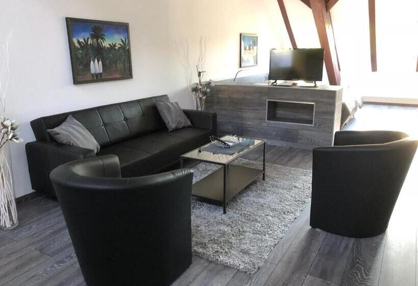 شقة سوبريور غرفة واحدة, Engels Hof