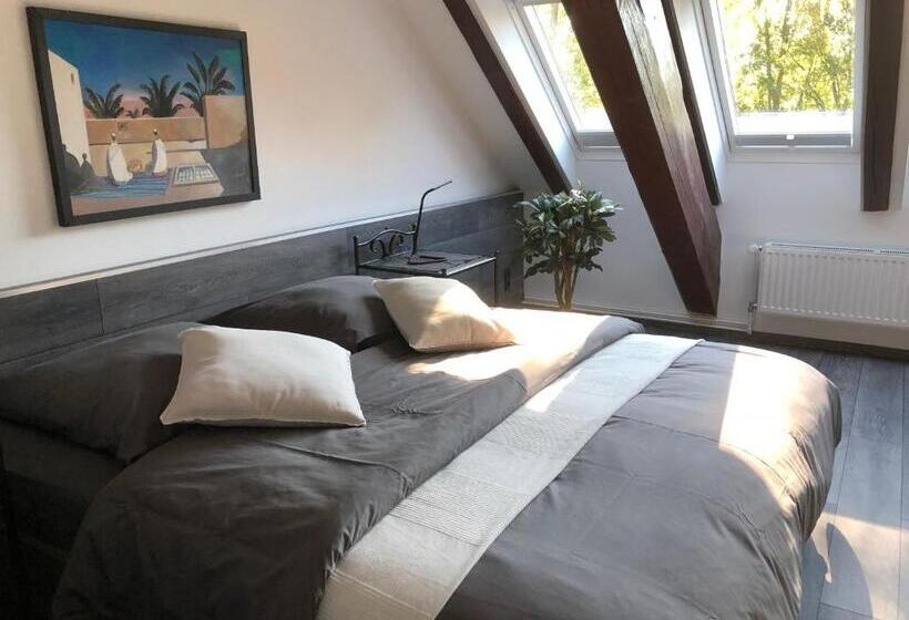 شقة سوبريور غرفة واحدة, Engels Hof