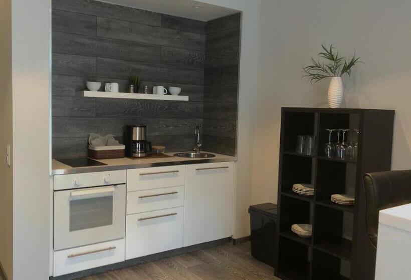 إستوديو قياسى مزودة بتراس, Engels Hof