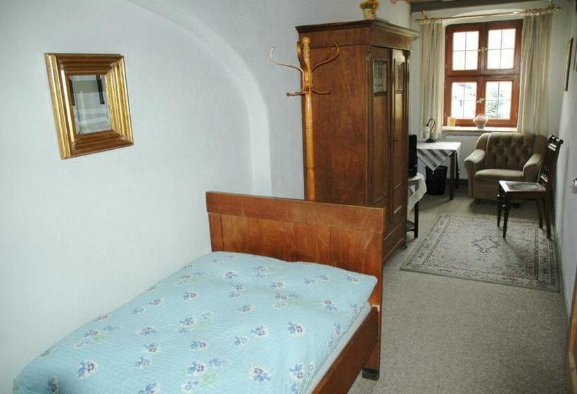 חדר סטנדרט יחיד, Altstadt Pension Zaremba