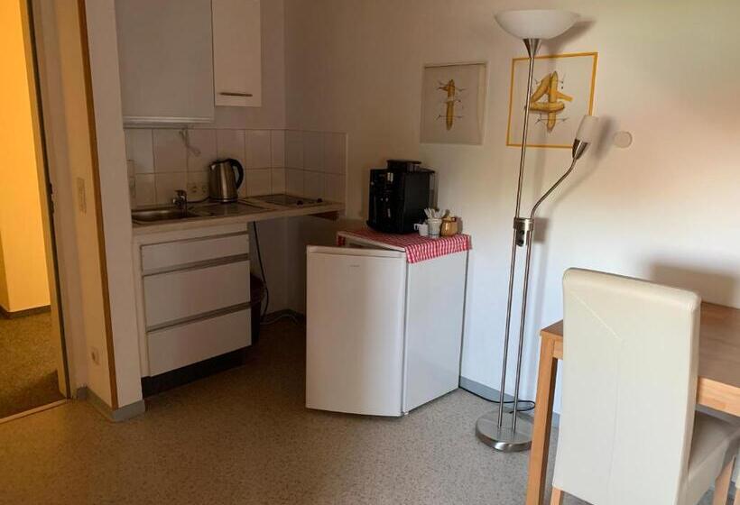 Апартаменты 1 Спальня, Gästehaus An Der Rheinbrücke