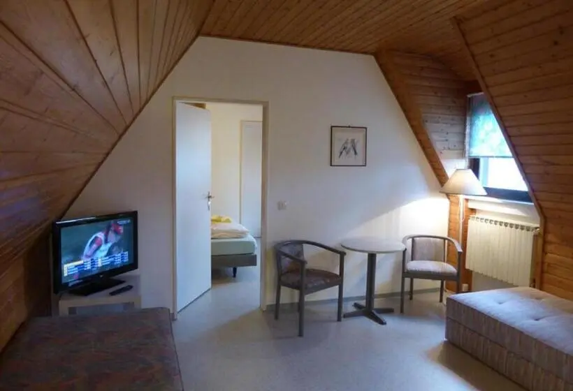 １ベッドルームアパートメント, Gästehaus An Der Rheinbrücke