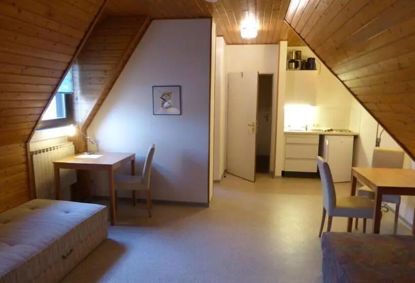 １ベッドルームアパートメント, Gästehaus An Der Rheinbrücke