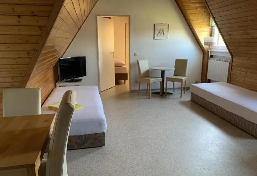 １ベッドルームアパートメント, Gästehaus An Der Rheinbrücke