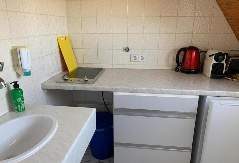 Апартаменты 1 Спальня, Gästehaus An Der Rheinbrücke