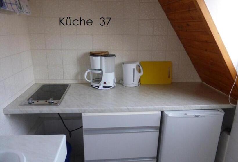 Апартаменты 1 Спальня, Gästehaus An Der Rheinbrücke