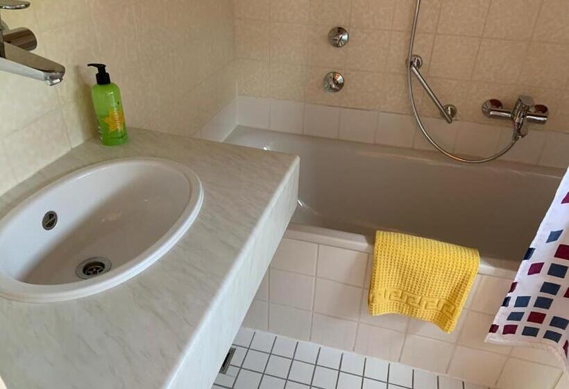 Номер Стандарт Индивидуальный, Gästehaus An Der Rheinbrücke