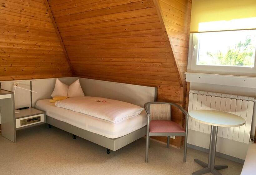 Номер Стандарт Индивидуальный, Gästehaus An Der Rheinbrücke