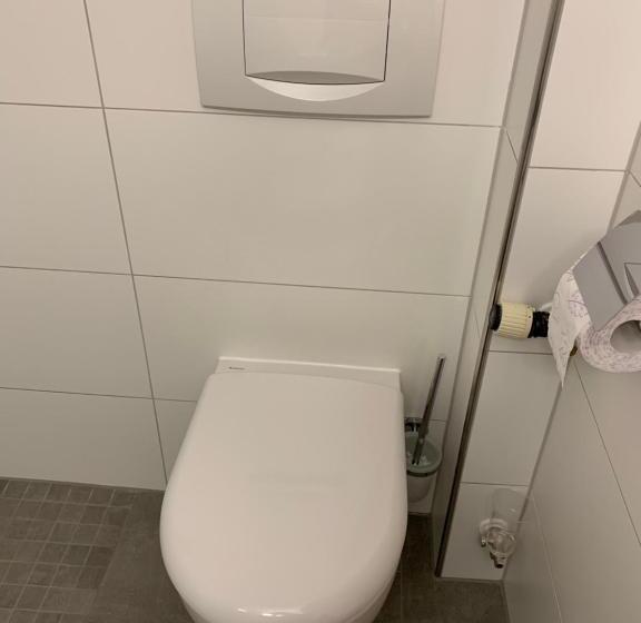 Номер Комфорт, Gästehaus An Der Rheinbrücke