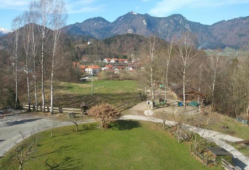 Номер Стандарт Вид на Горы, Villa Bergkristall
