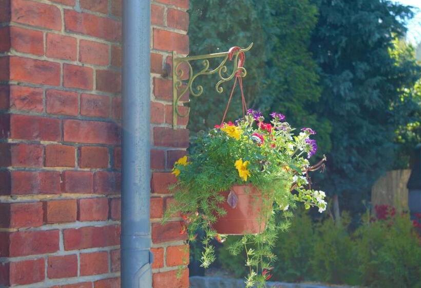 基本间, Pension Zum Alten Schulhaus