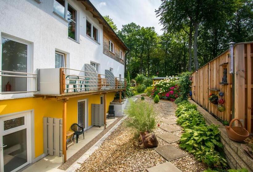 Номер Стандарт Индивидуальный с Балконом, Pension Buchfink