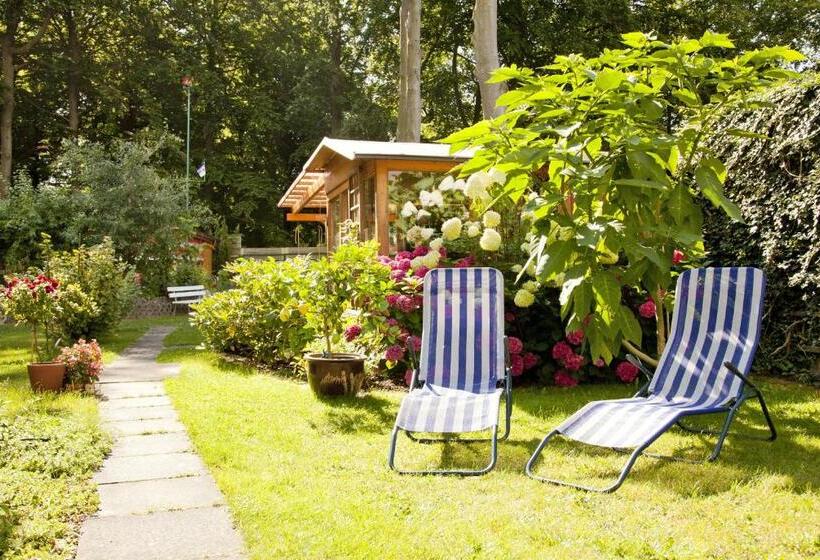 Номер Стандарт Индивидуальный с Балконом, Pension Buchfink