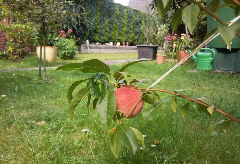 Номер Стандарт с Балконом, Pension Buchfink