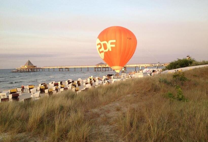 Номер Стандарт, Pension Buchfink