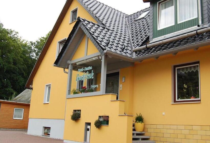 Номер Стандарт, Pension Buchfink