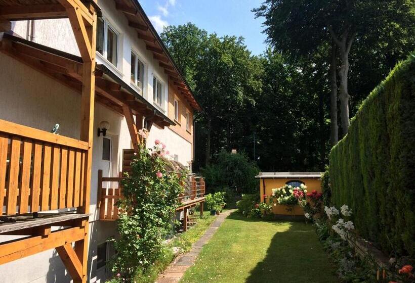 Номер Стандарт, Pension Buchfink