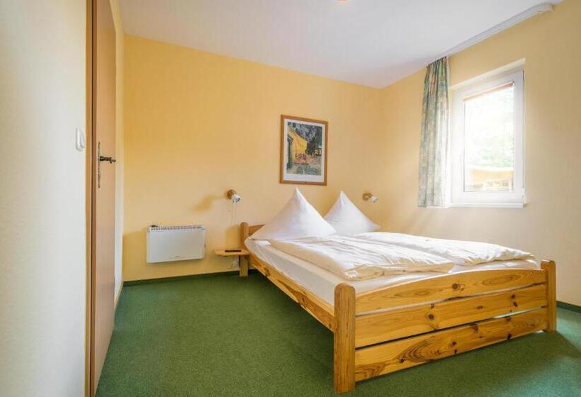 Номер Стандарт, Pension Buchfink