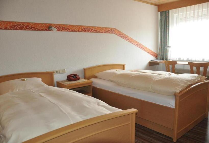 스탠다드 룸, Gasthof Liederhalle