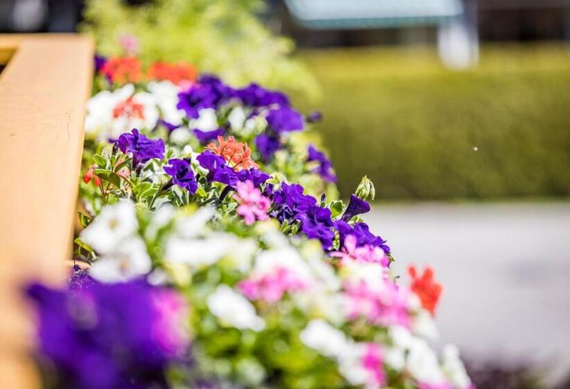 Pokój Deluxe z Balkonem, Pension Gimpl