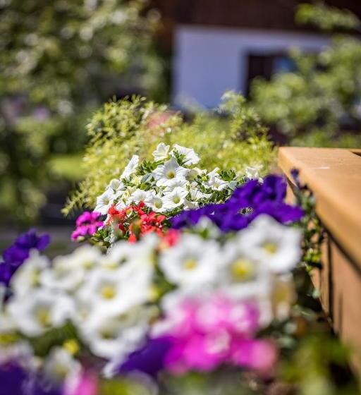 Pokój Deluxe z Balkonem, Pension Gimpl