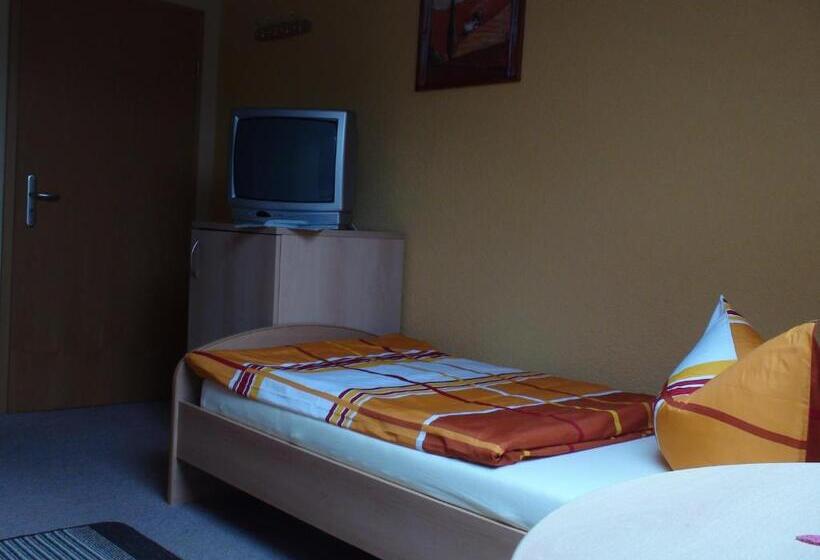 标准单人间, Pension Kreisel