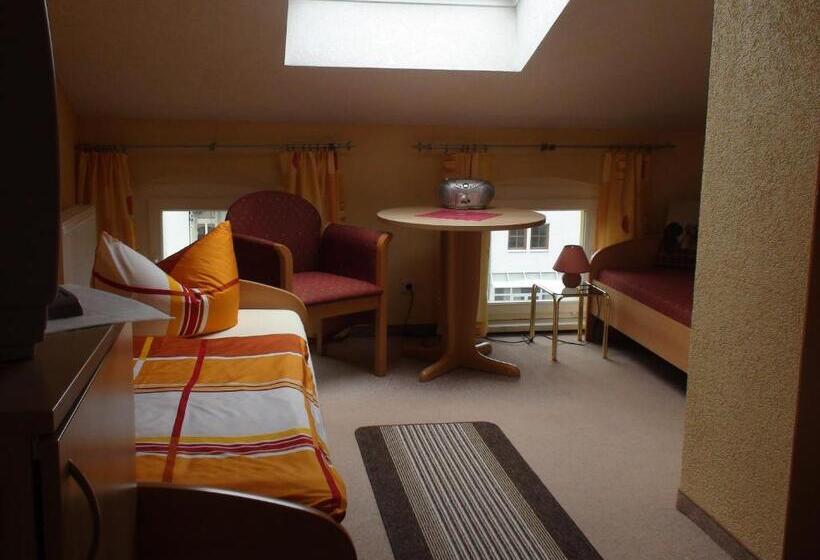 标准单人间, Pension Kreisel