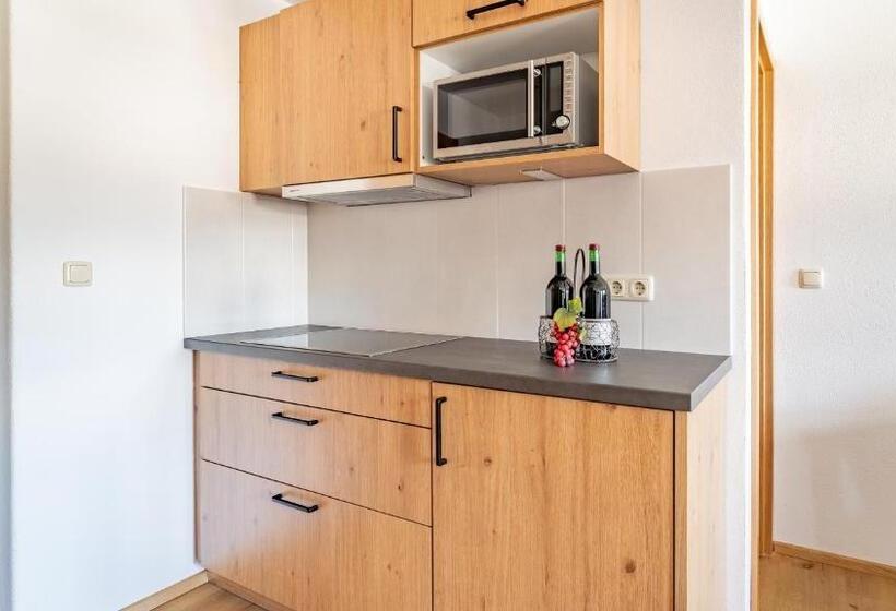 آپارتمان 1 خوابه با بالکن, Demelhof