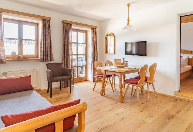 آپارتمان 1 خوابه با بالکن, Demelhof