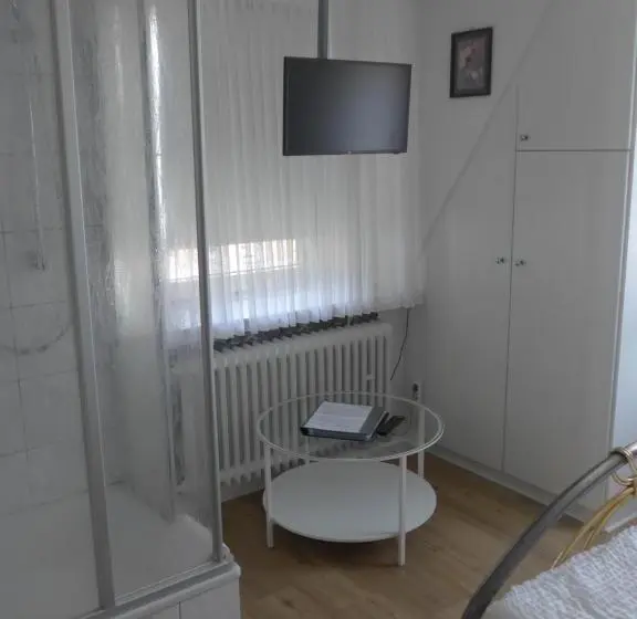Standard Yhden Hengen Huone, Pension Schneider