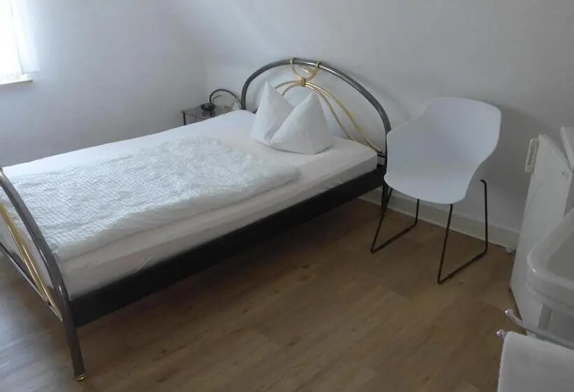 Standard Yhden Hengen Huone, Pension Schneider