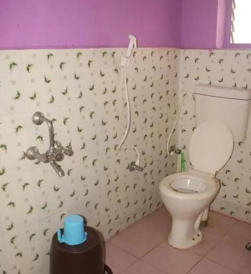 Chambre Economy, Santosh Lodge