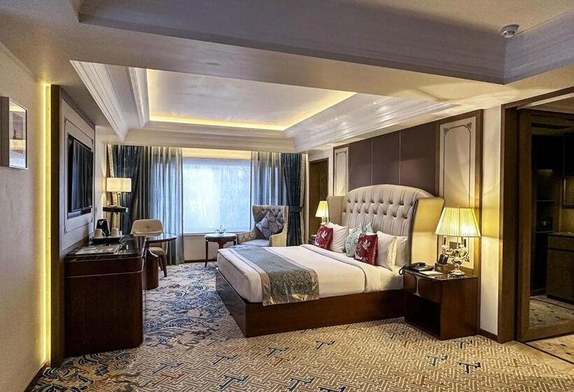 总统套房, The Indus Valley